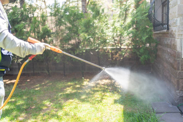Bird Control in Sylva, NC