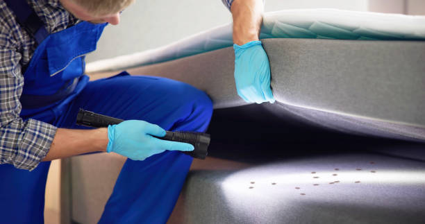 Best Pest Prevention Services  in Sylva, NC