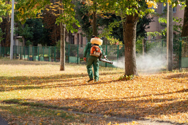 Best Pest Removal Services  in Sylva, NC